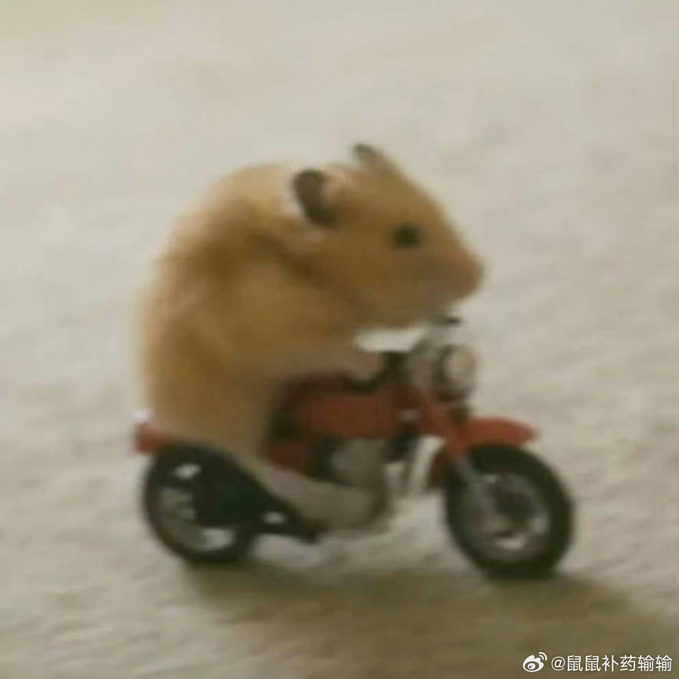 这个谢承峻一点也不乖，我要去找他了，可以带话 