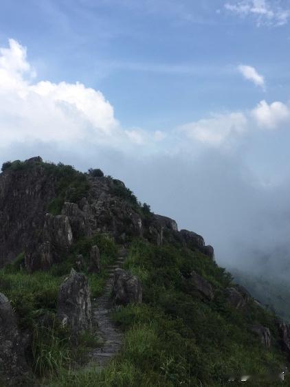 🌿一日游东狮山｜山水秘境保姆级攻略

谁说山水只能看图？收好这份攻略，用脚步丈