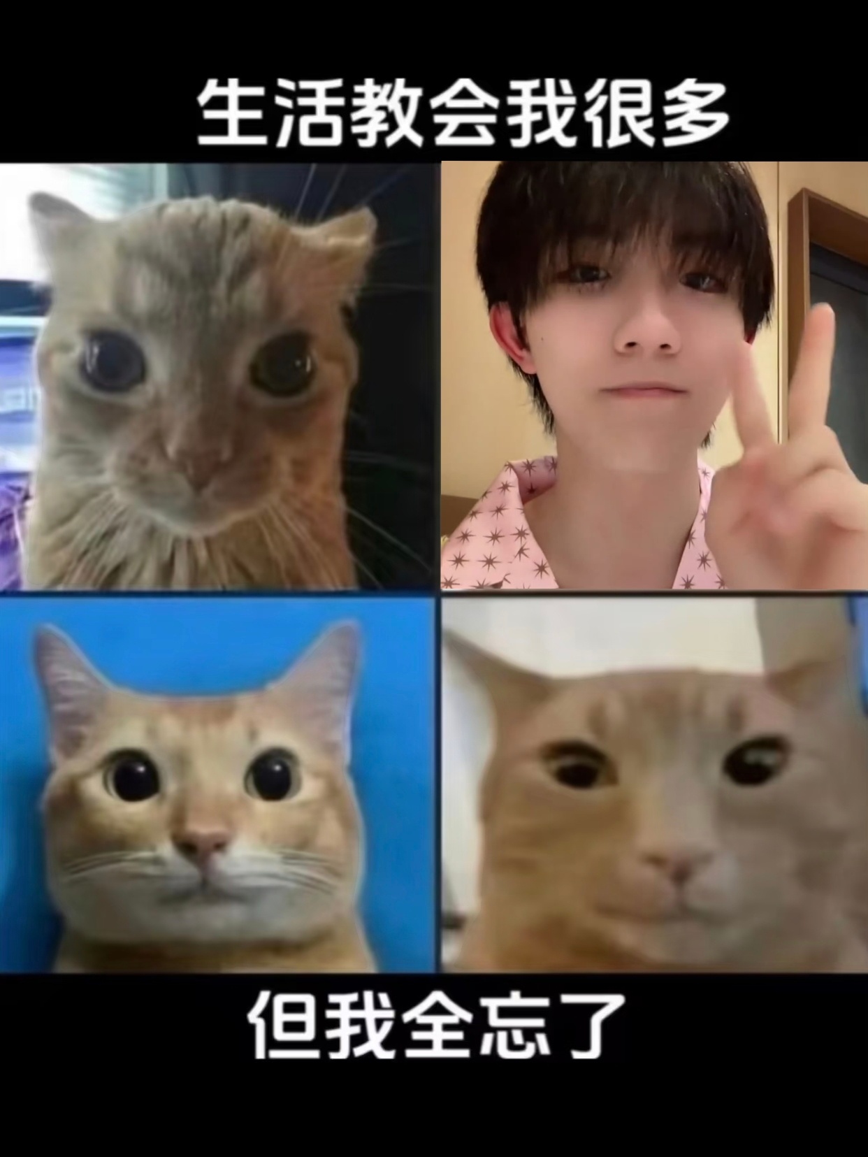 分享图片 