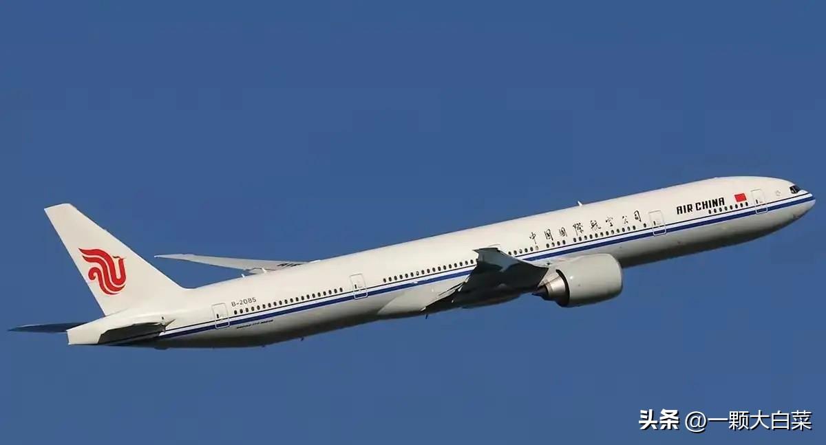 有人提出建议：中国可以参考俄罗斯的做法，不允许日本民航飞机过境中国领空。如此一来