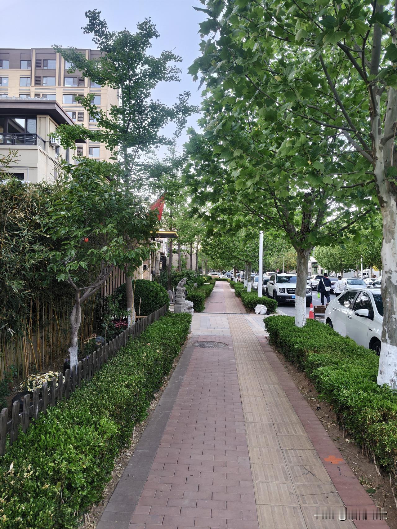 愿清浅的时光里，风景依然，初心依旧。