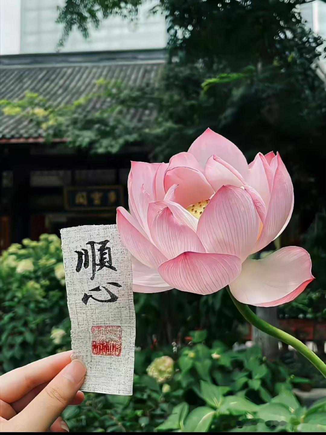你见过公司下班，同事顺走公司东西的吗？[呲牙]
我们这个老太太可厉害了，我们西安