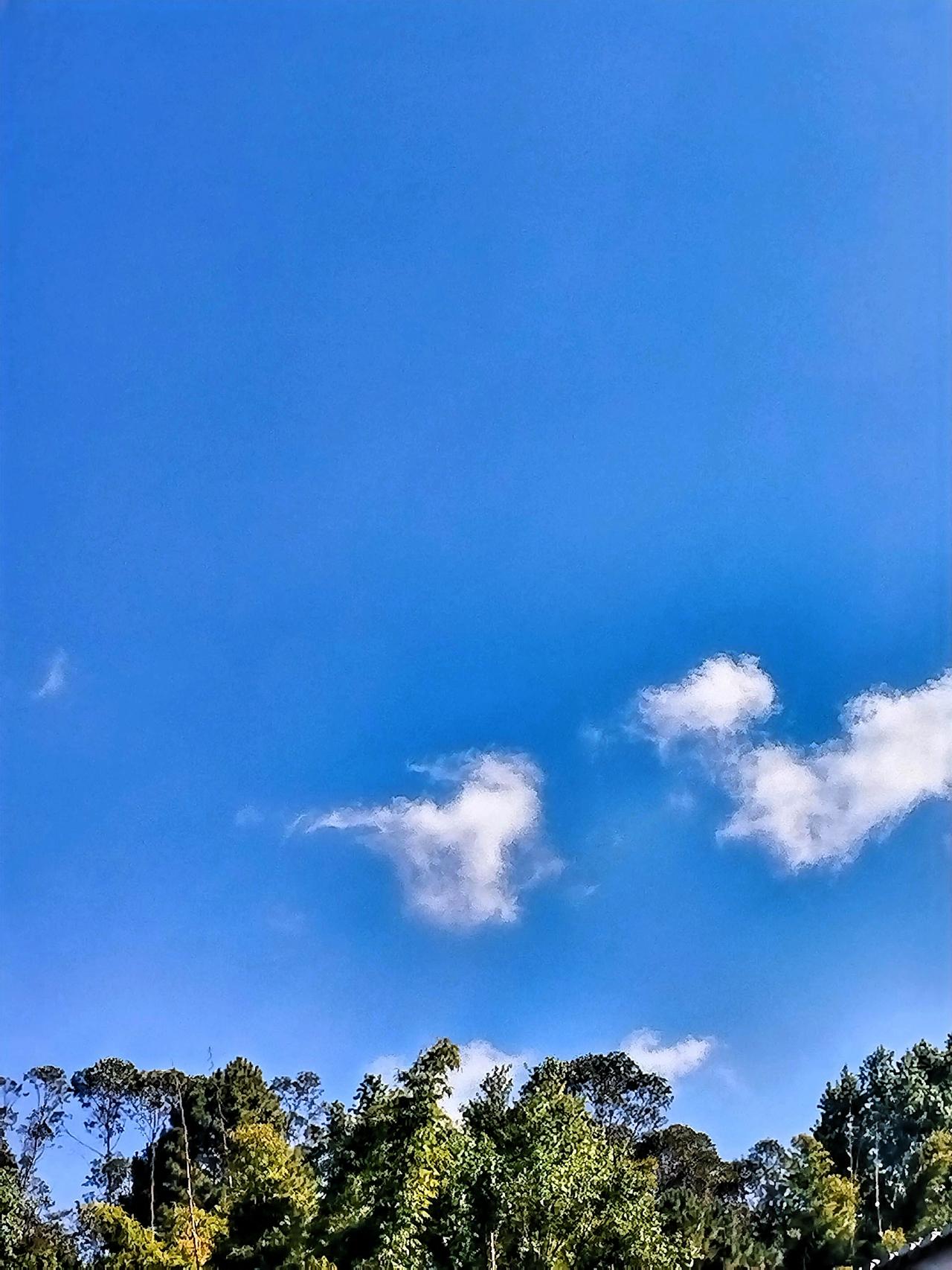 记录我的2026 记录我的2026
天空澄澈如洗，云朵自在舒卷。大自然的美妙景致