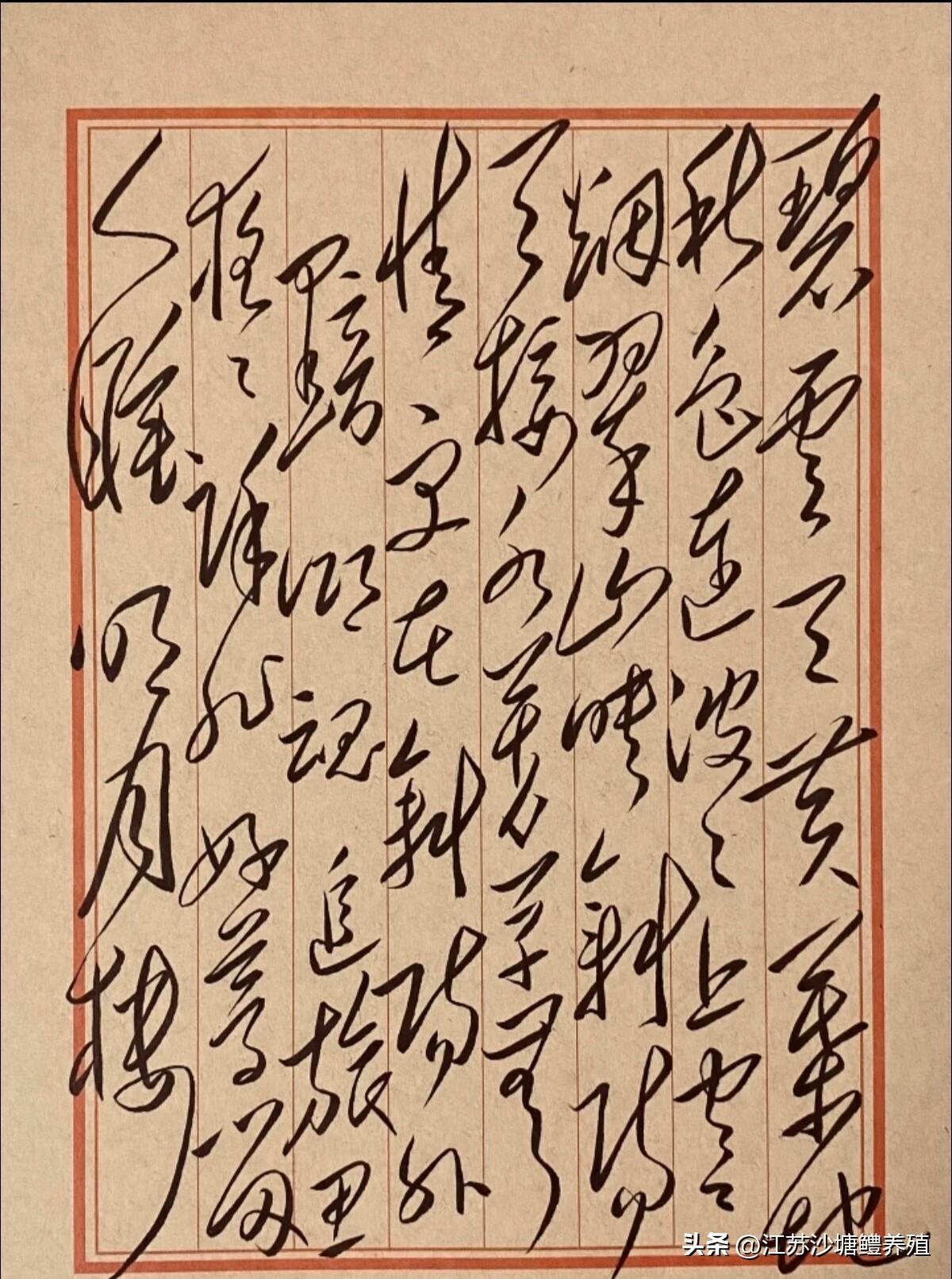 主席在1970年会见斯诺时说过：
四个伟大讨嫌（四个伟大即伟大的导师、领袖、统帅