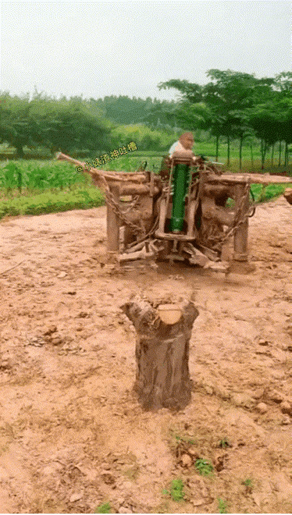 鲁达最多拔了一棵小腿那么粗的[捂脸]