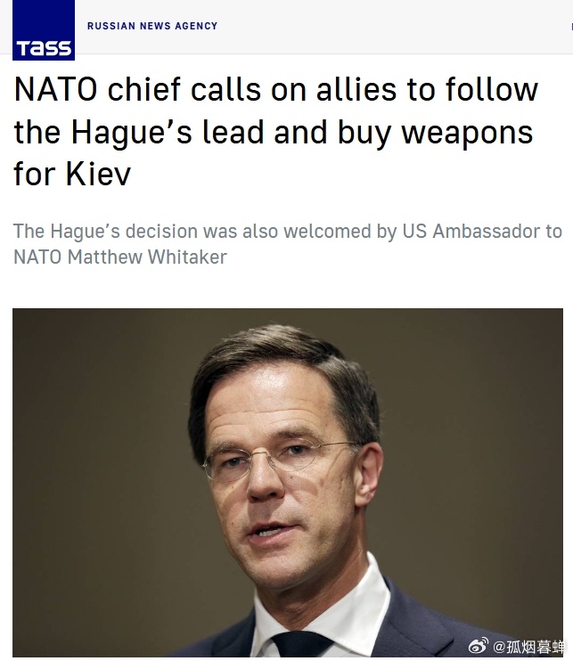 北约秘书长呼吁盟国效仿荷兰，为乌克兰购买武器北约秘书长吕特对荷兰决定斥资5亿欧元