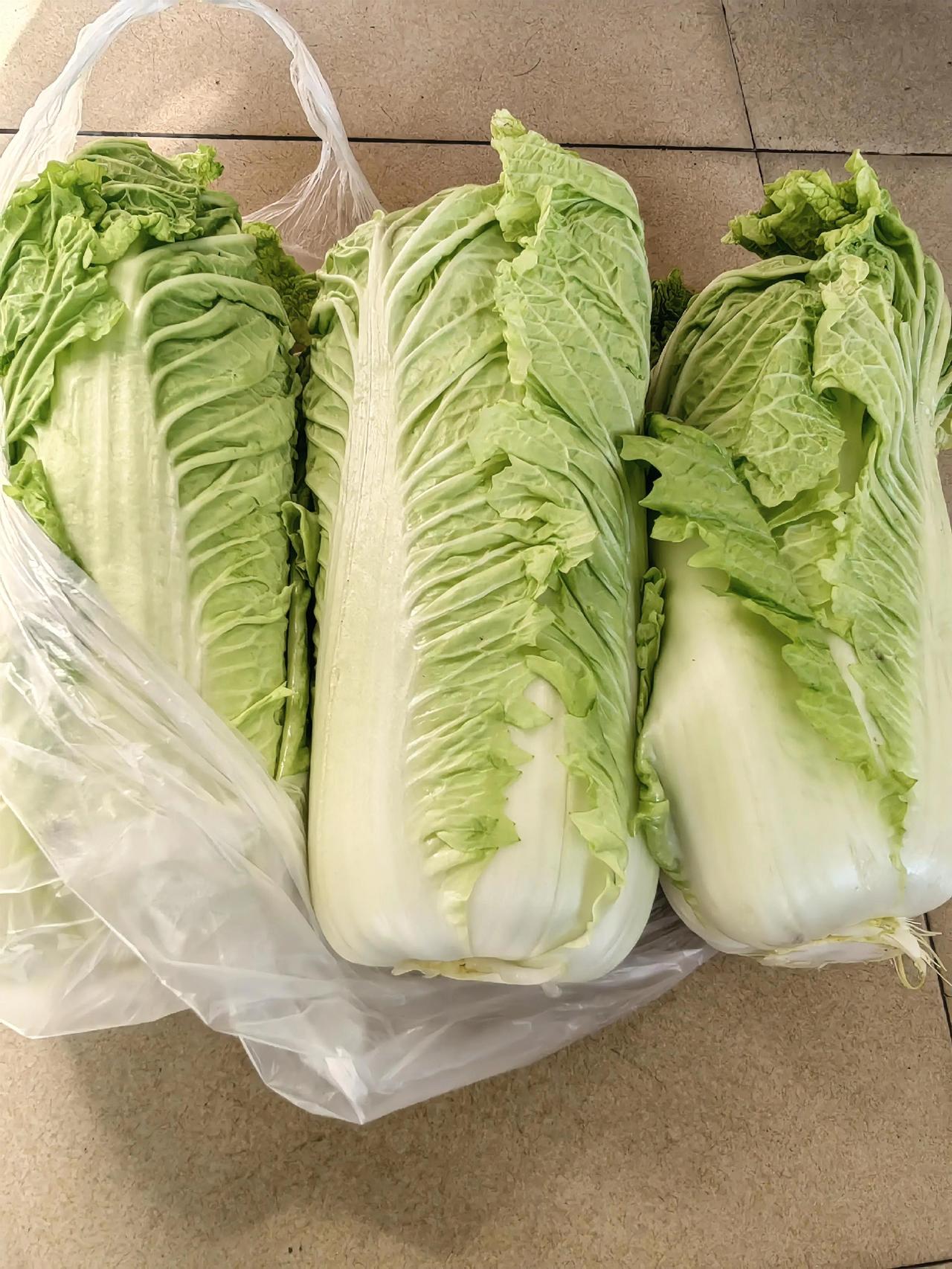 好消息！

白菜降价了！
白菜由前段时间的每斤一块多钱，降到八、九毛一斤了，看这