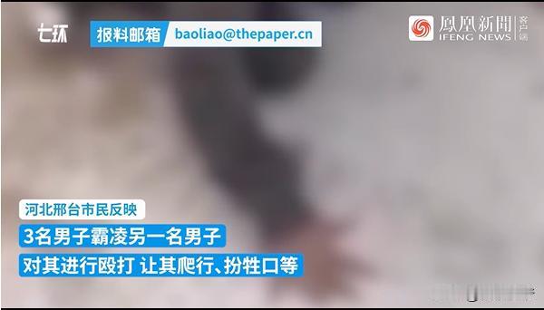 又现霸凌！6月27日，河北省邢台市宁晋县公安局通报了一起多人霸凌事件，引发网友高
