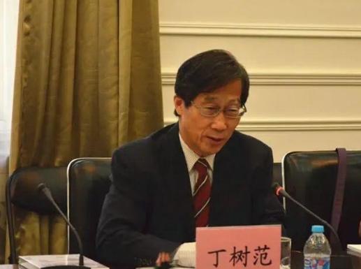 台湾大学教授丁树范表示，如果大陆坚持强制推行一国两制，国民党可能会选择拒绝接受这