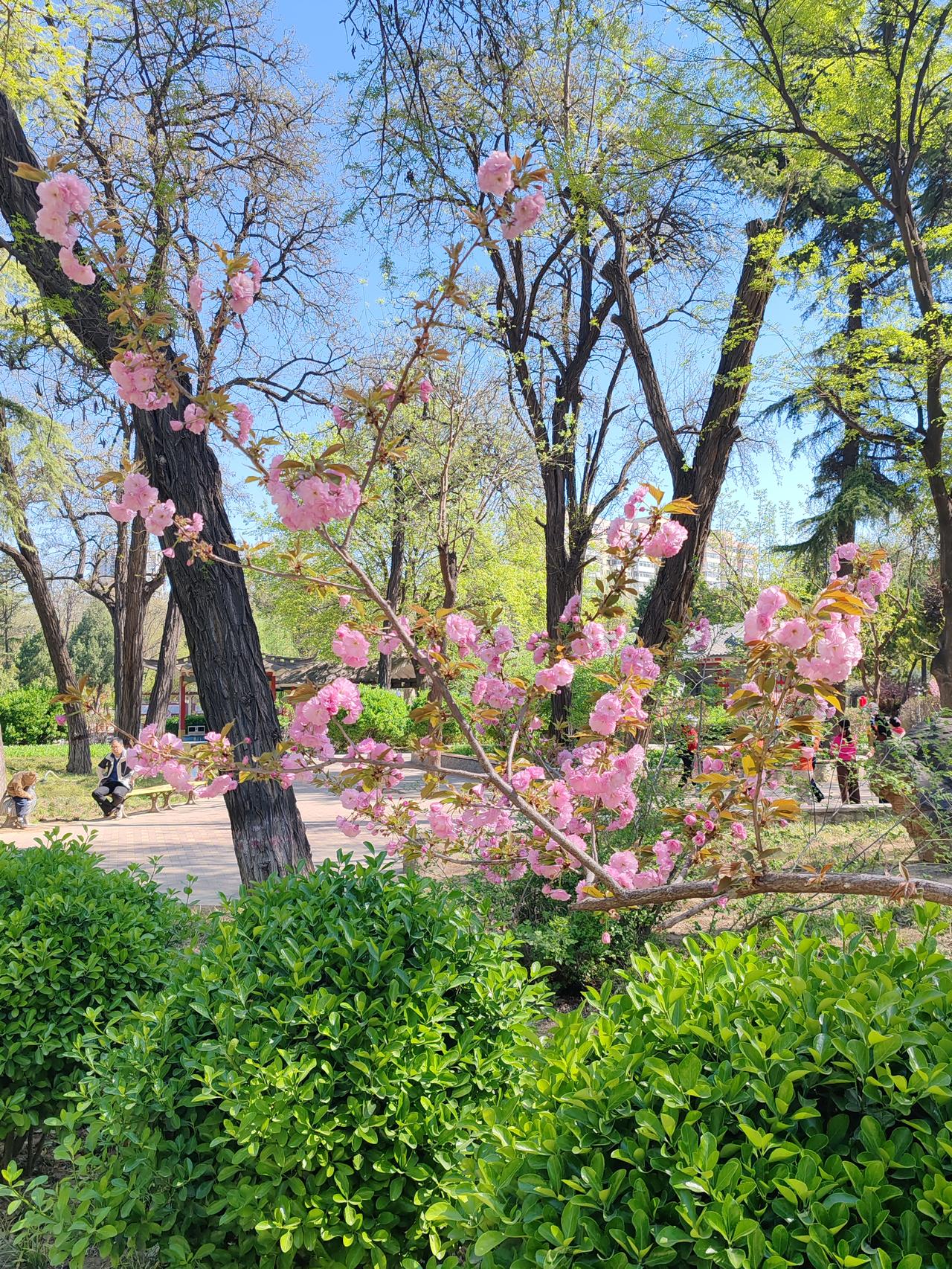 要做坚定的爱国者，台湾人，大陆人，都是中国人。要做坚定的统一者，分分合合是中国的
