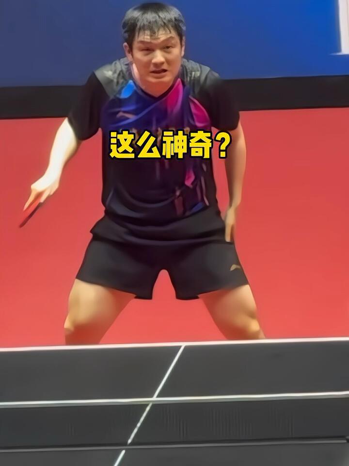 樊振东自己都不可思议，太神奇了，打出超级幸运球，球的轨迹真的意想不到！
东哥满头