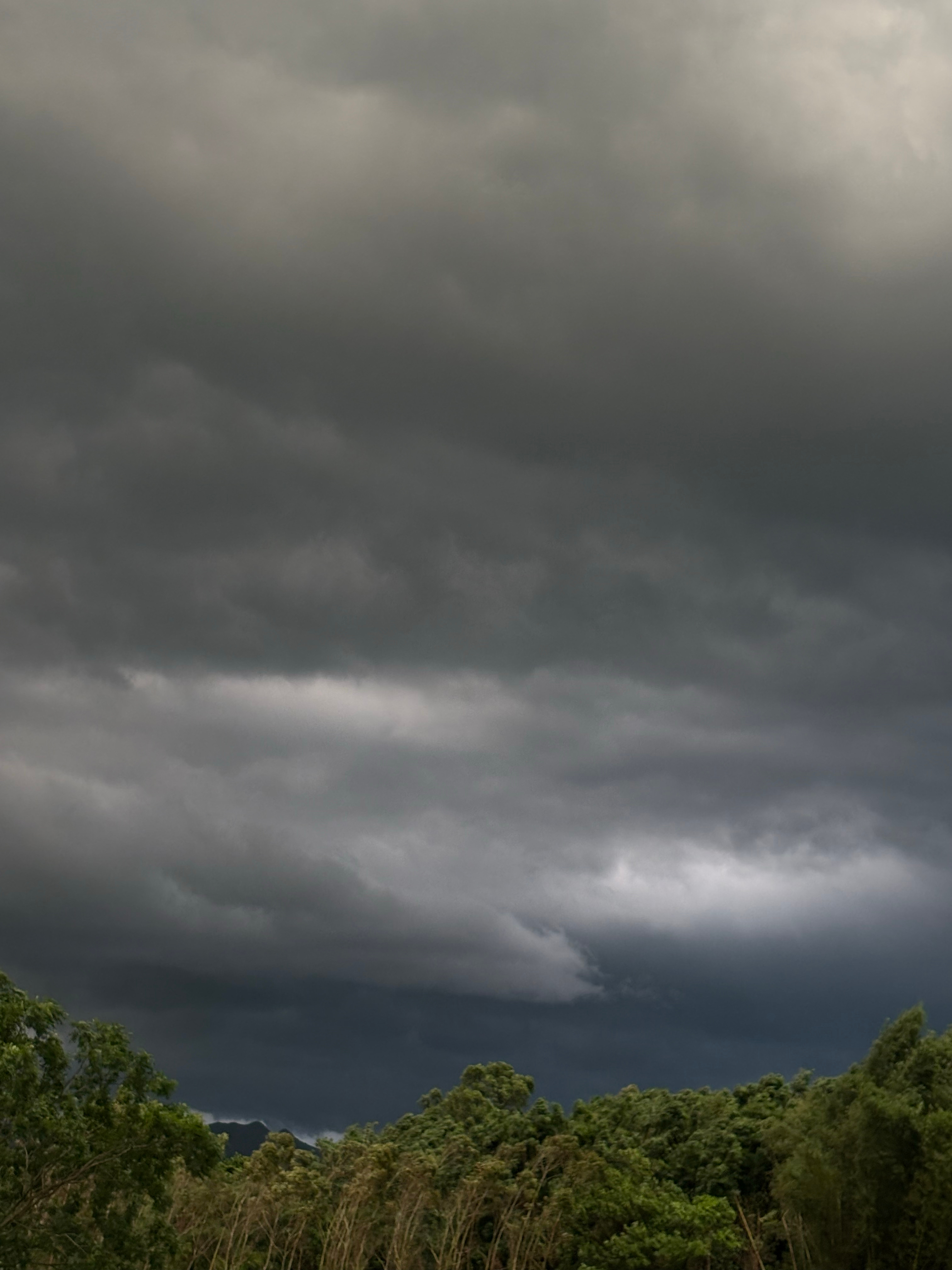 广州已出现13级阵风昨天傍晚真的是狂风大作，反而没怎么下雨 
