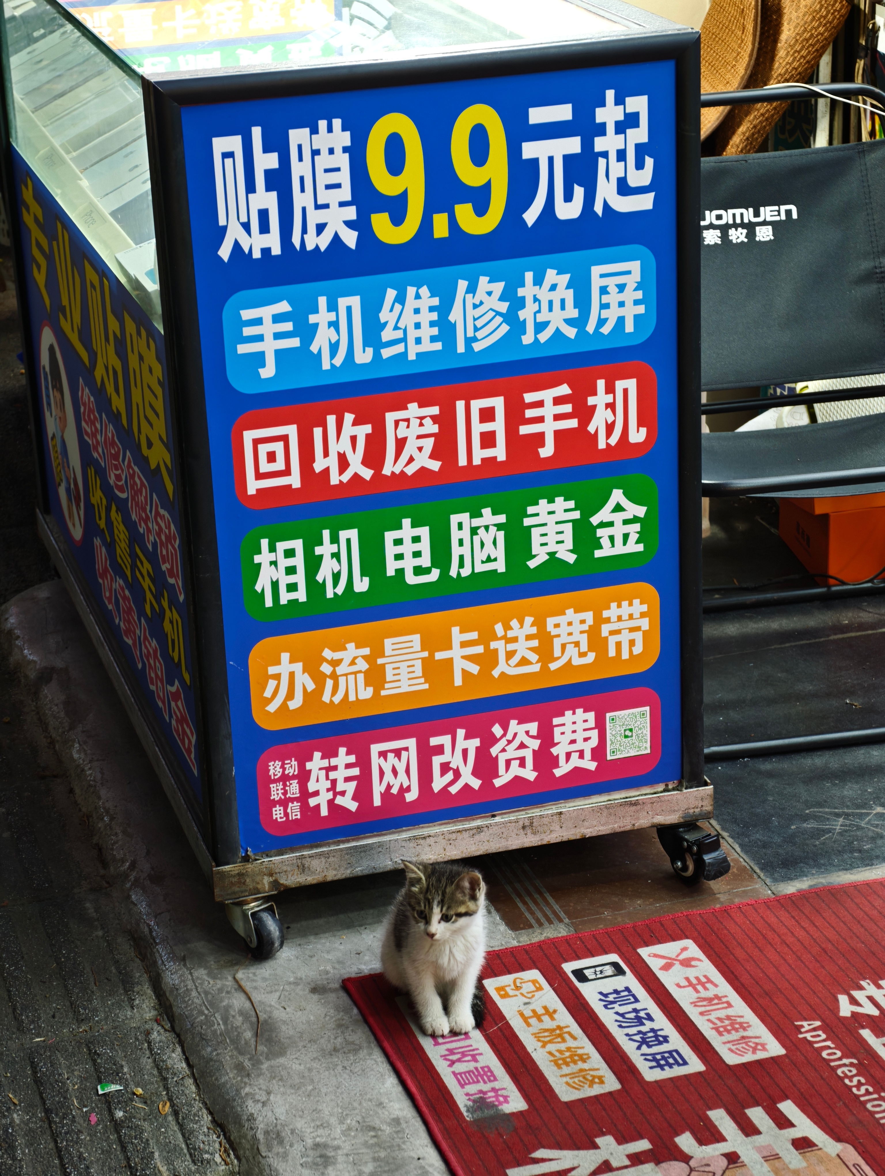 是我眼睛花了吗，现在小猫都出来做手机贴膜了