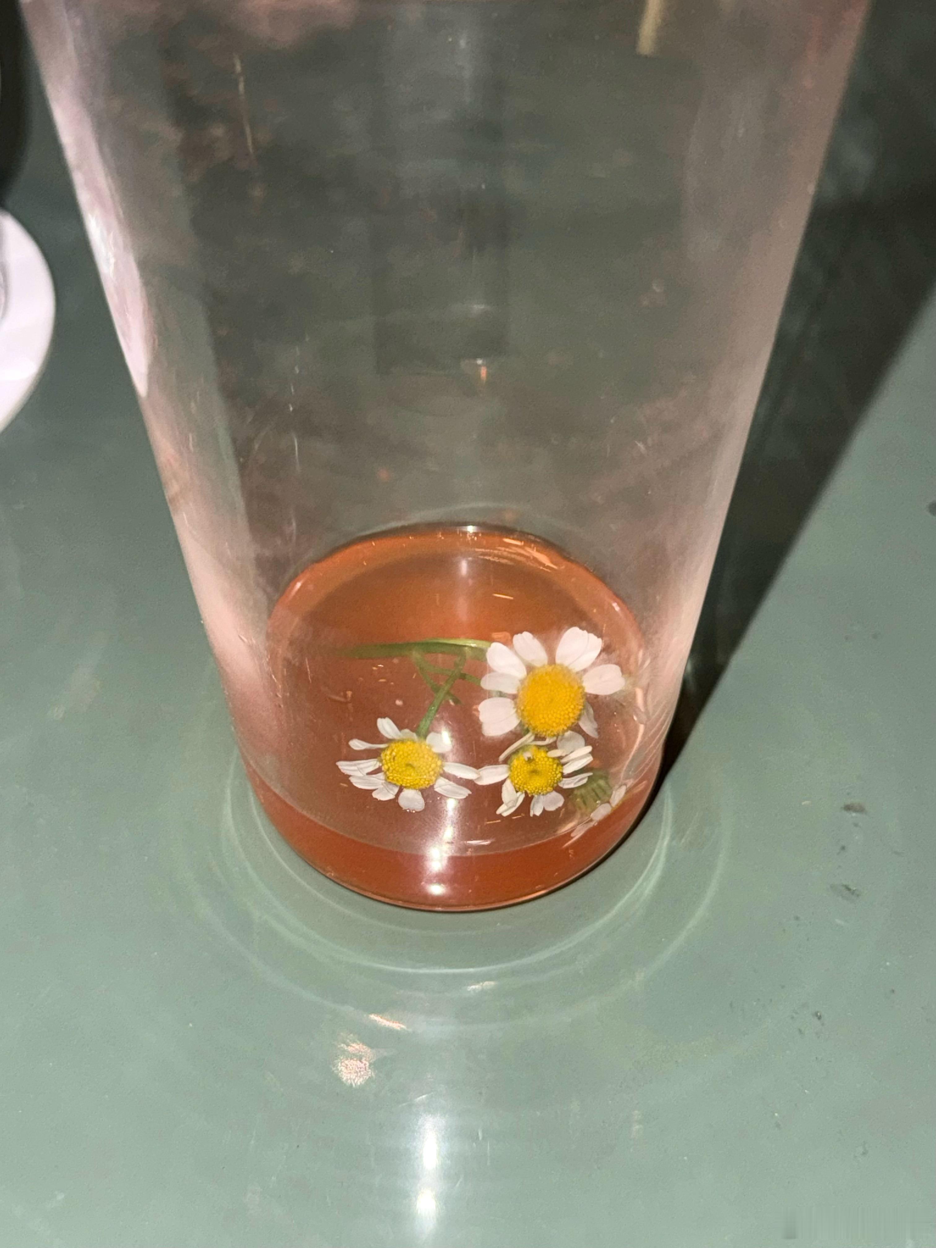 好凉快 ​​​