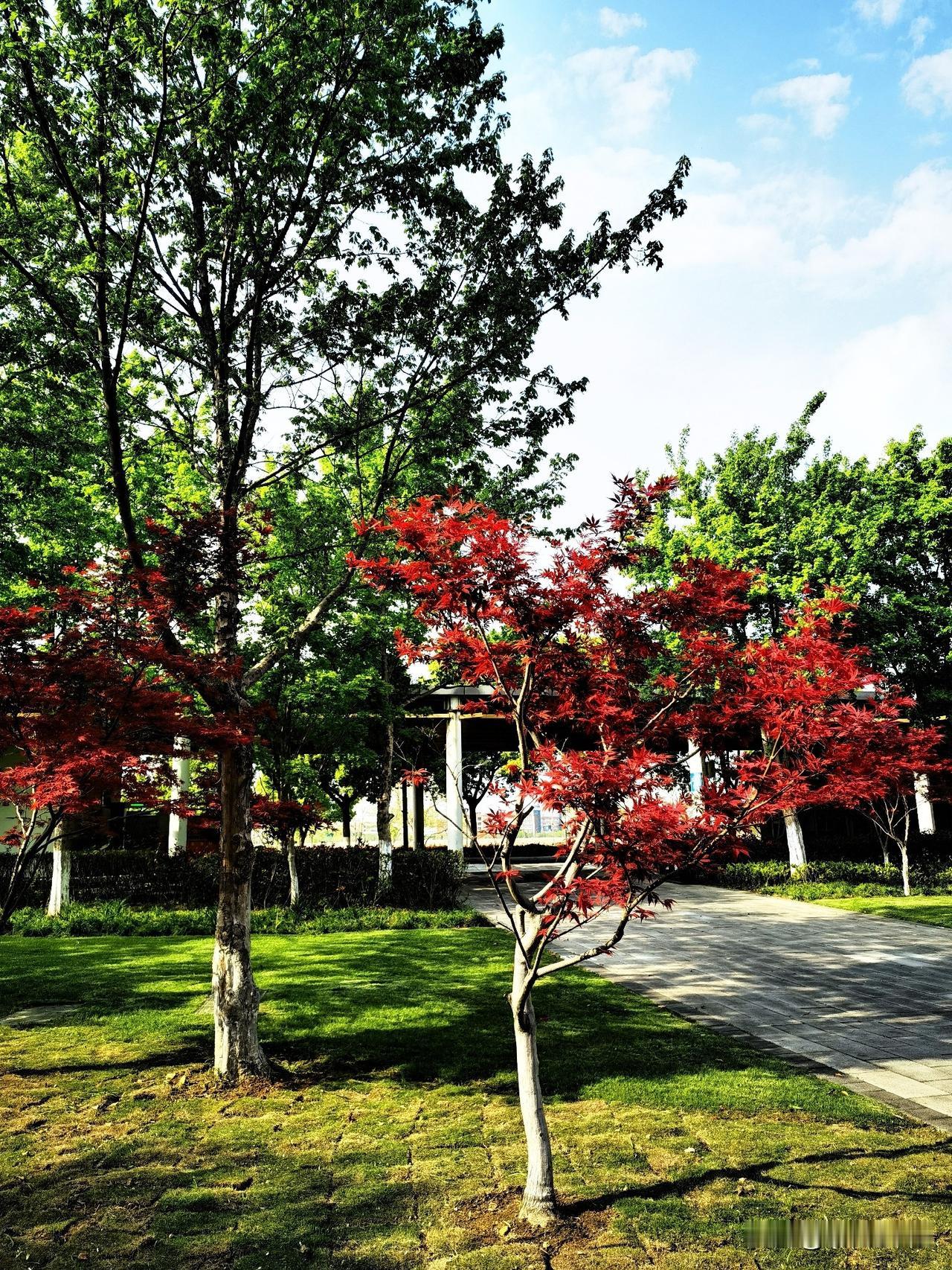 一筏春水，打卡宁波滨江水韵公园。

春日的午后，信步走进高新区滨江水韵公园，沿江