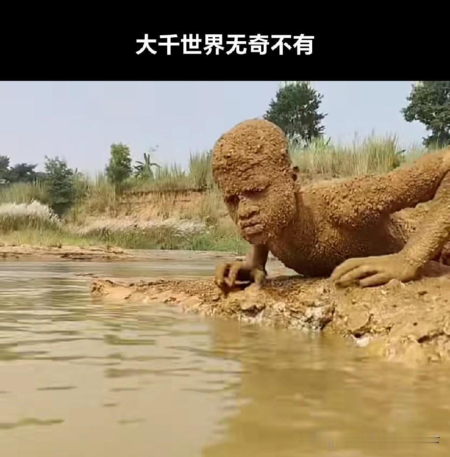 为了拍视频也是拼了[捂脸]