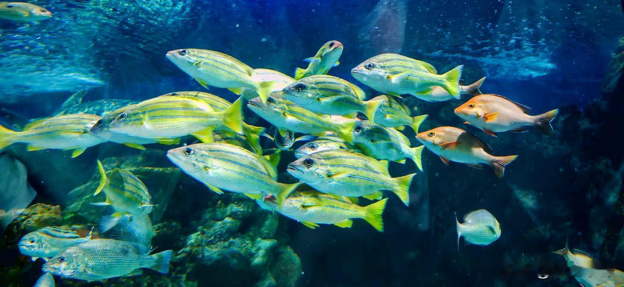 [太阳]每天努力精进的日子充实且有力量，在这个世界上，我们唯一需要突破的~就是自