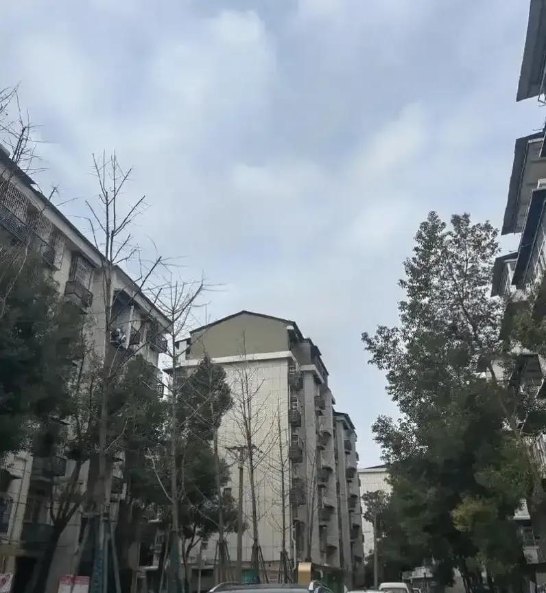 谁家的礼金只给1000，还被老公翻账本查出来了？这事儿一上来就扎心，儿媳妇的婆婆