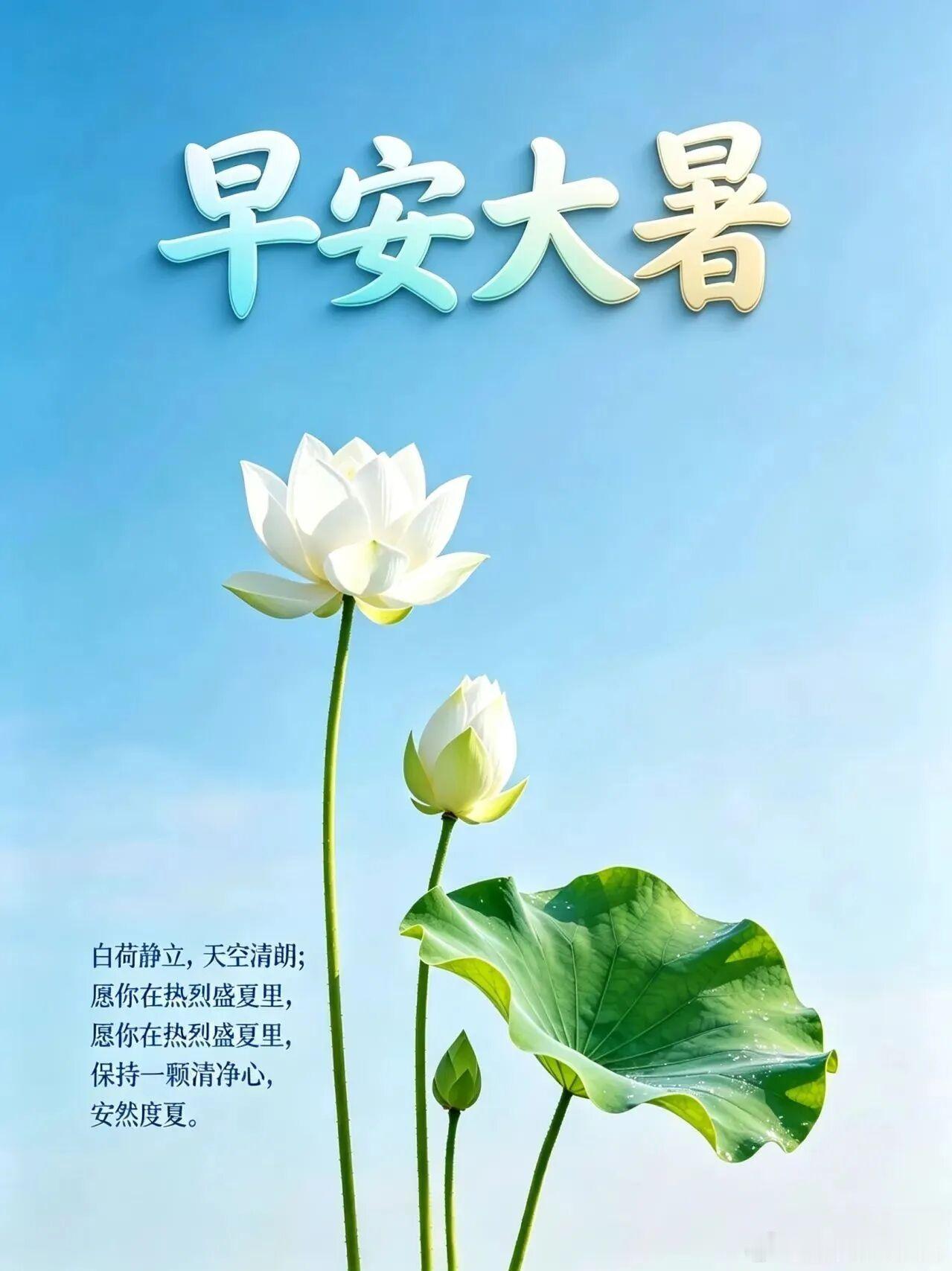 早安   大暑繁盛，万物荣华，愿如夏花，极尽丰盈🌸🌞 