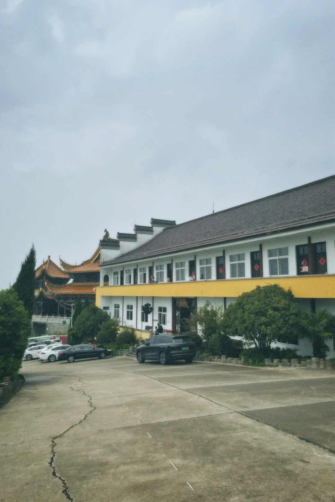 小狗也有自己的好朋友