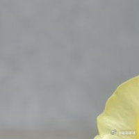 阳光信用  每一份微小善意都藏着力量，用真诚浇灌暖意，用包容化解隔阂，用坚守传递