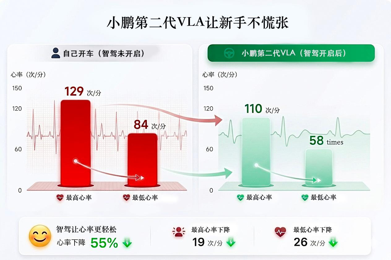 有没有跟我一样的本本族！驾照拿了好几年，一摸方向盘就手心冒汗，独自上路直接心跳加