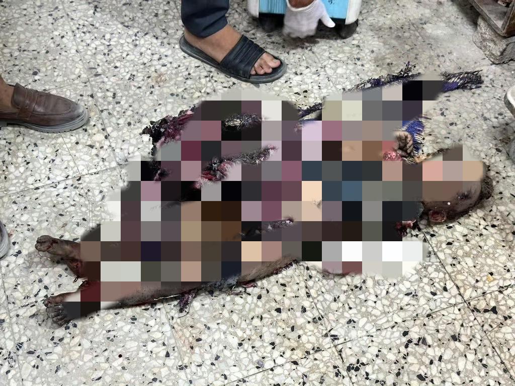 加沙停火协议刚生效，以军士兵就向加沙北部的拉希德街上的平民开火了！同时以军坦克进
