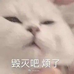 埃及旅游 小费明年就要去了[流汗]朋友说真的要谨慎，一天大概会被骗个3 5次[跪
