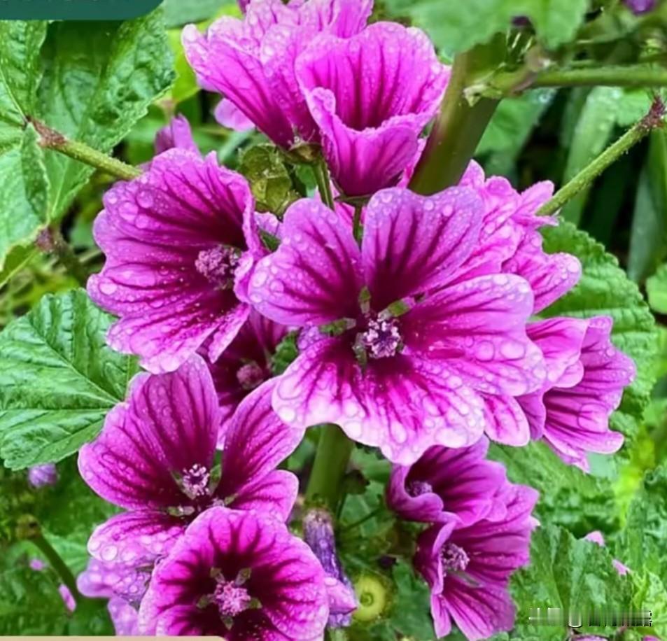 2026，感恩生命中的每一次遇见，珍惜每一个平凡而珍贵的瞬间。余生，愿心怀感恩，