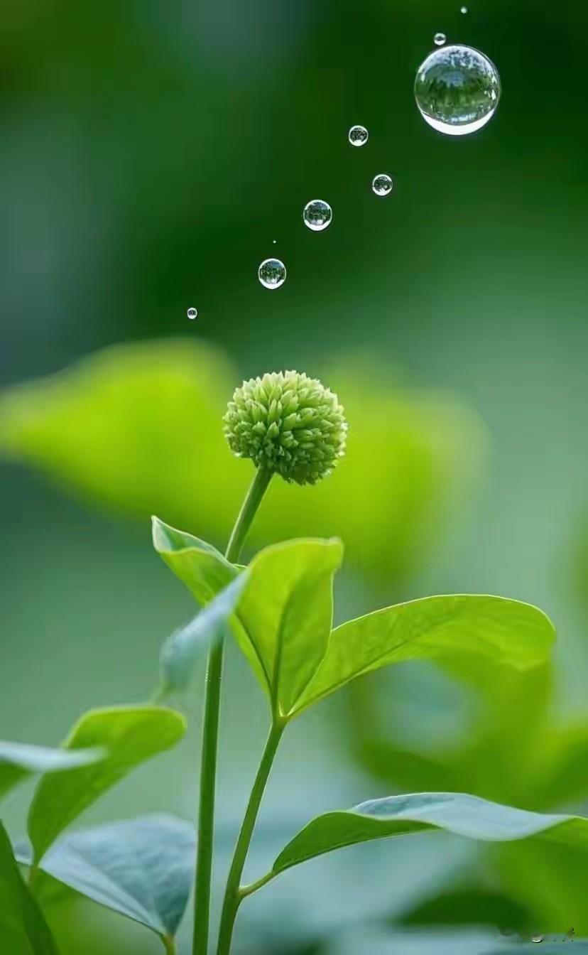 夫妻长久恩爱的智慧
 
一、不改造对方，只筛选和接纳
 
- 别指望结婚能改变一