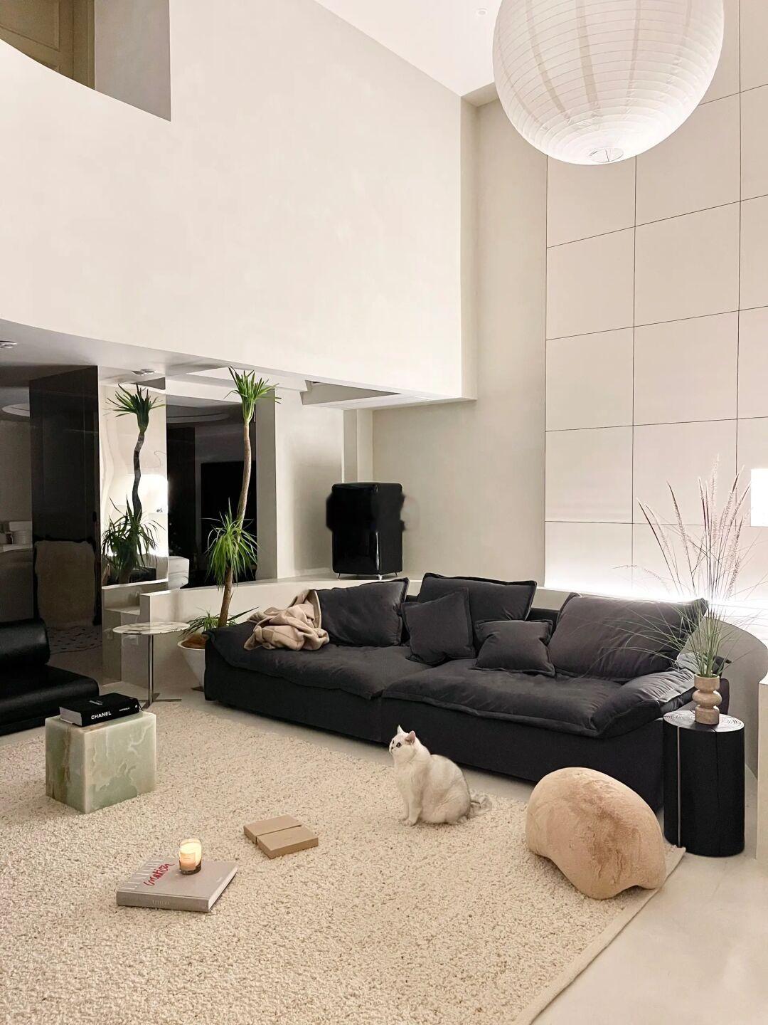 我宣布帆船沙发是我家猫zui爱的大床！