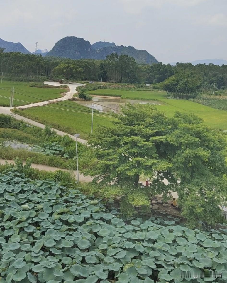 乡村生活也很美好，很多人觉得城市才好，可我认为，乡村同样充满魅力。乡村空气清新，