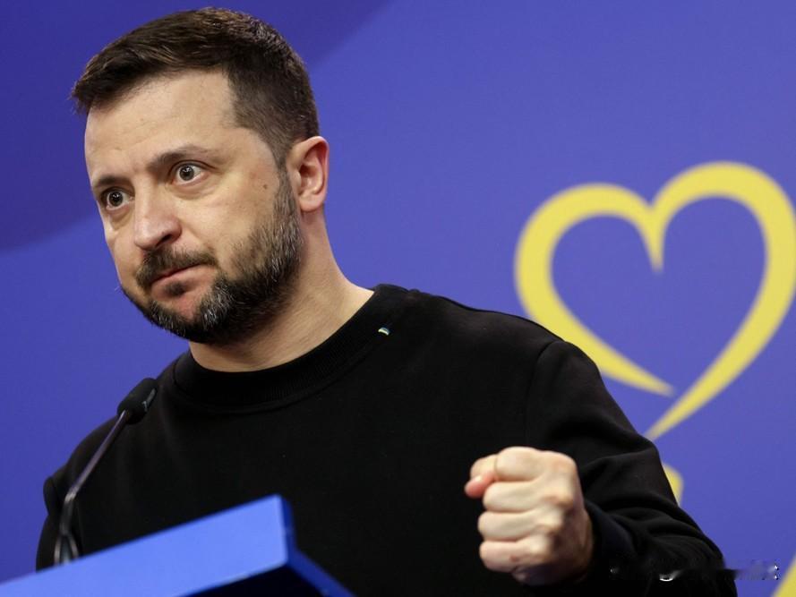 泽连斯基的底气来自这30个国家，约30个国家站出来支持泽连斯基反对美国施压乌克兰