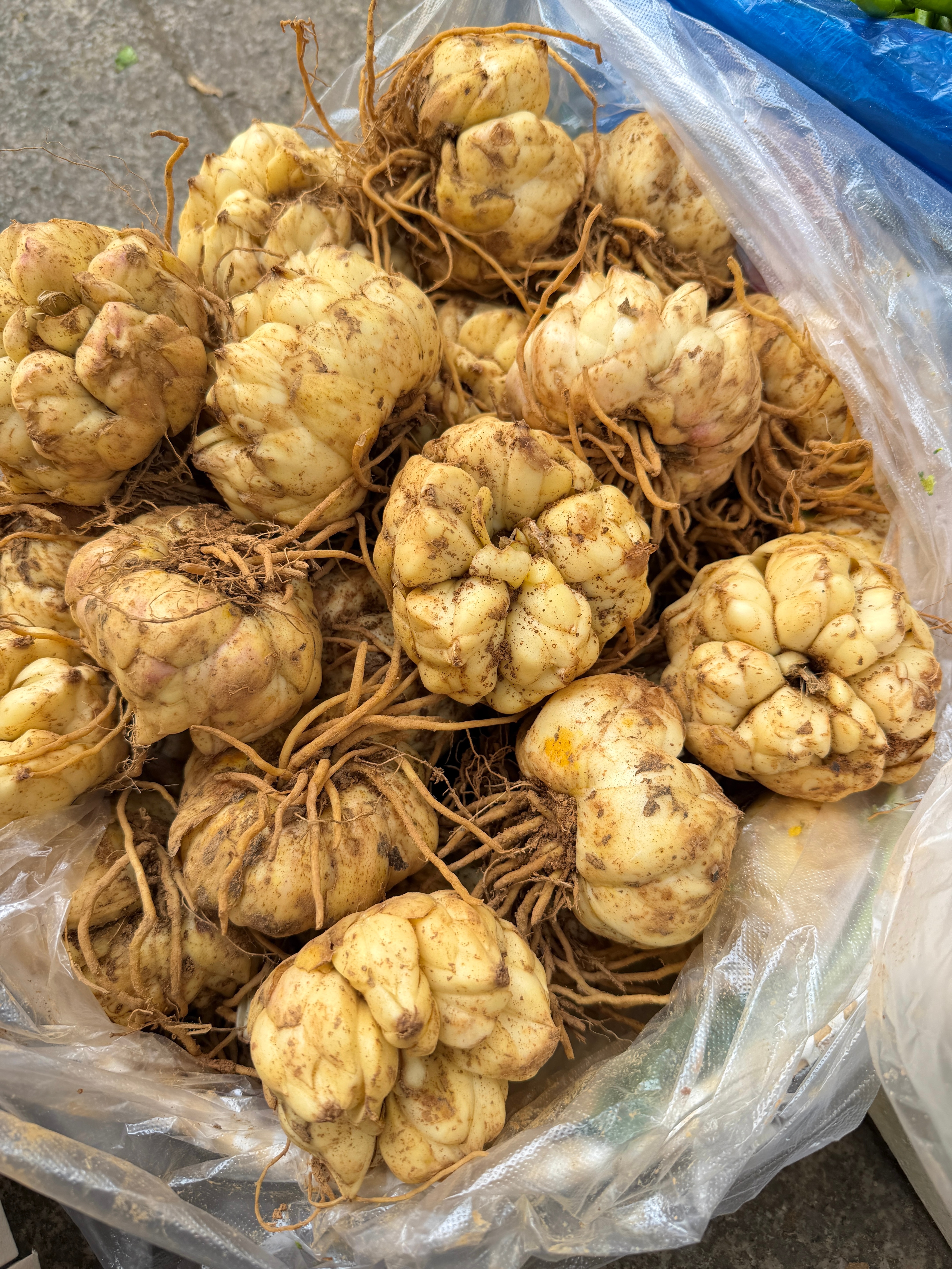 一年好景君须记，最是橙黄橘绿我的美食日记 ​​​
