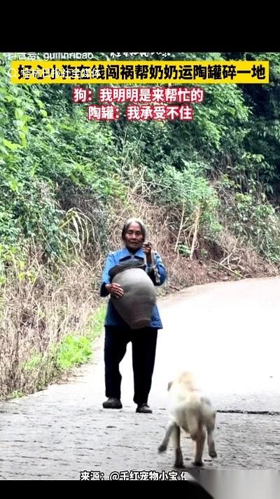 大爷死死盯着地上那一圈瓦片发愣，旁边还蹲着个疯狂摇尾巴、满脸求表扬的傻狗。
这画