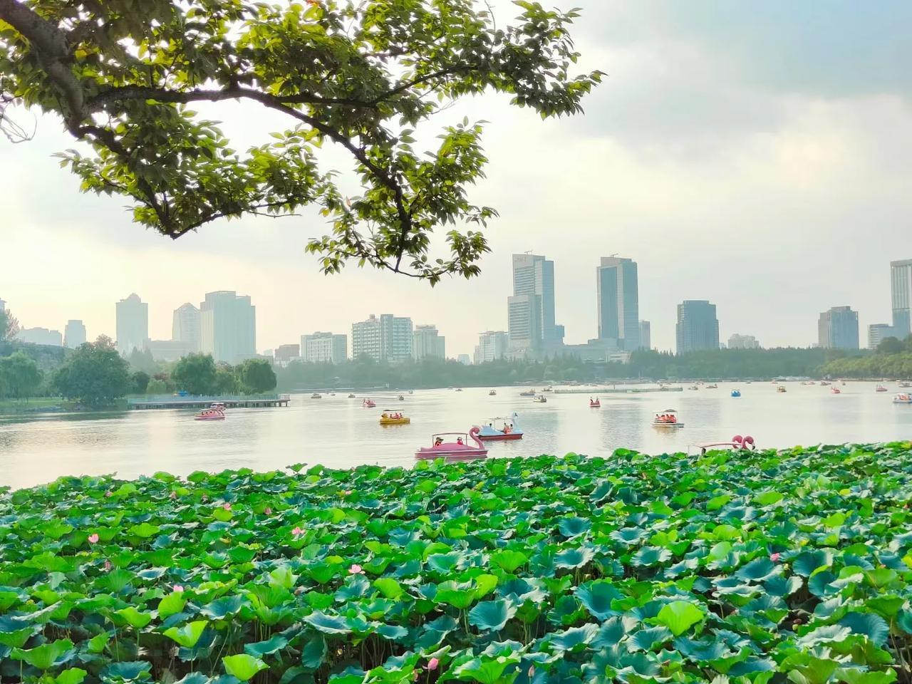 #随手记录秋日生活#
明天开学第一天，早睡早起，迎接新学期了。