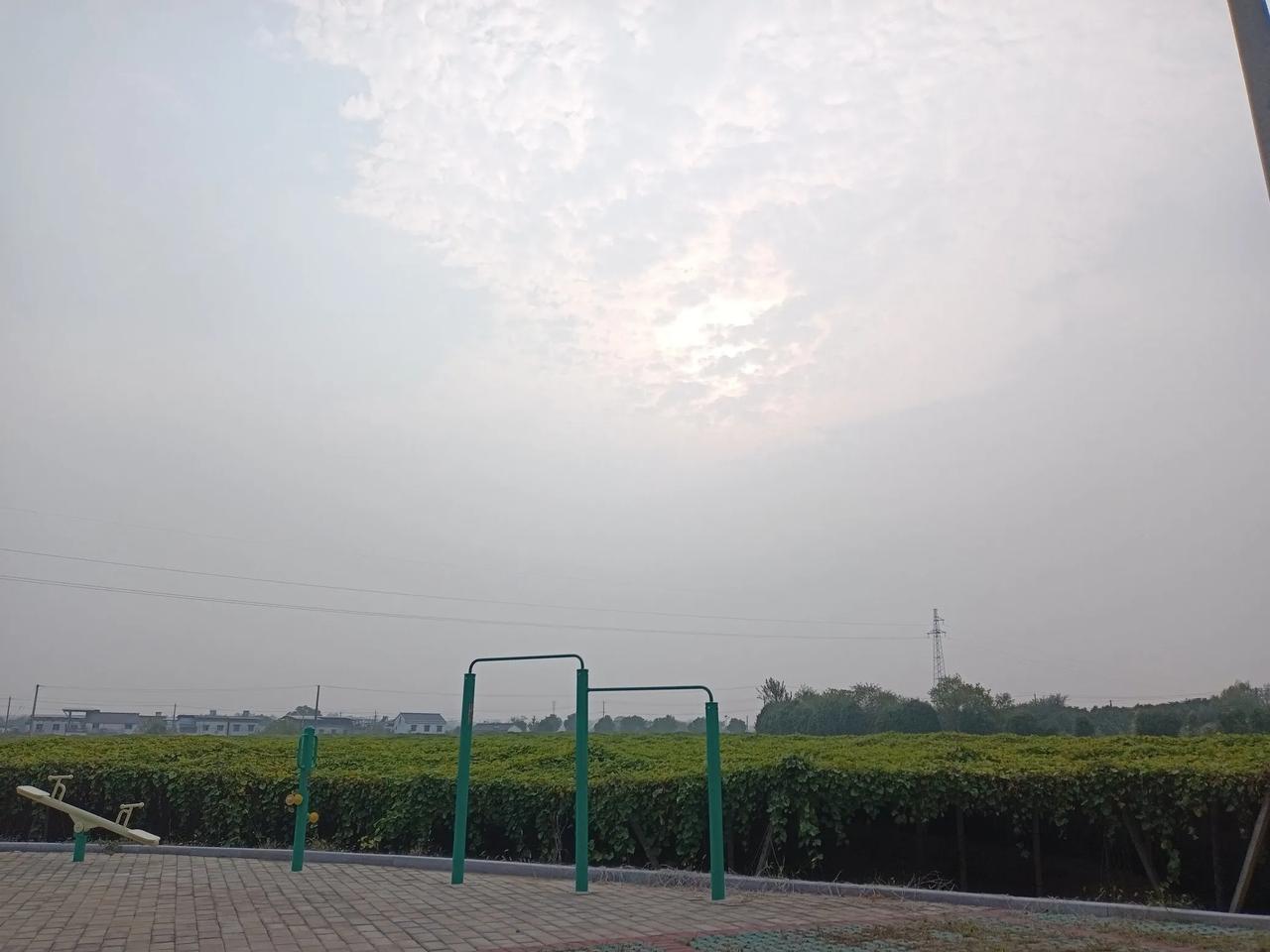 阴天阳光
2024年10月28日，农历九月廿六日，下午三点阴天，隐晦的太阳图片！