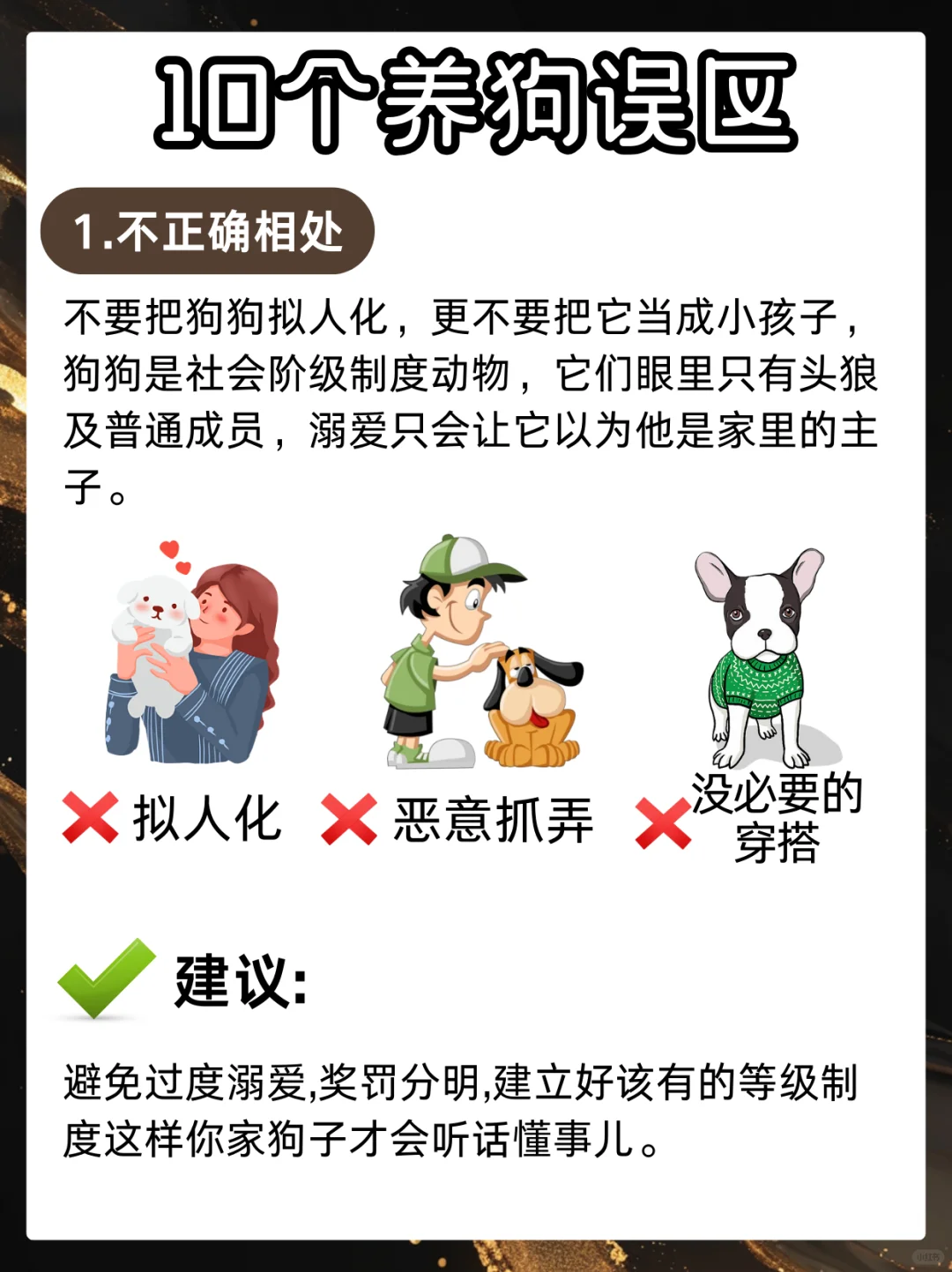 铲屎官必须要知道的 10个养狗误区🧐