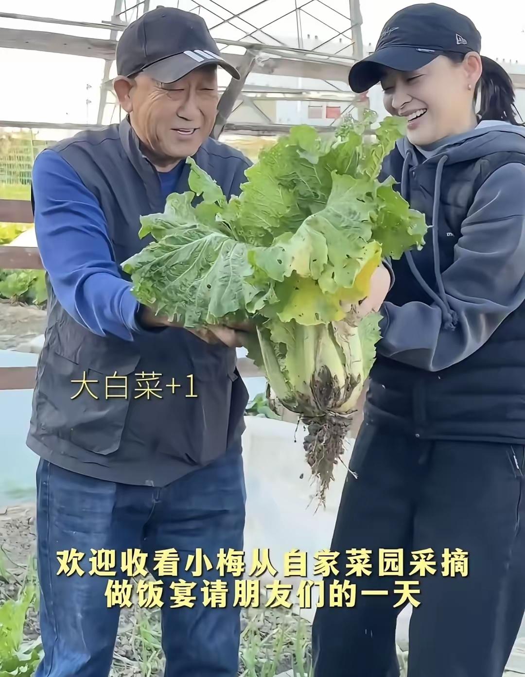 梅婷的生活真是太让人羡慕了。

最近她晒出和公公在自家菜园种菜的视频，两人一起翻