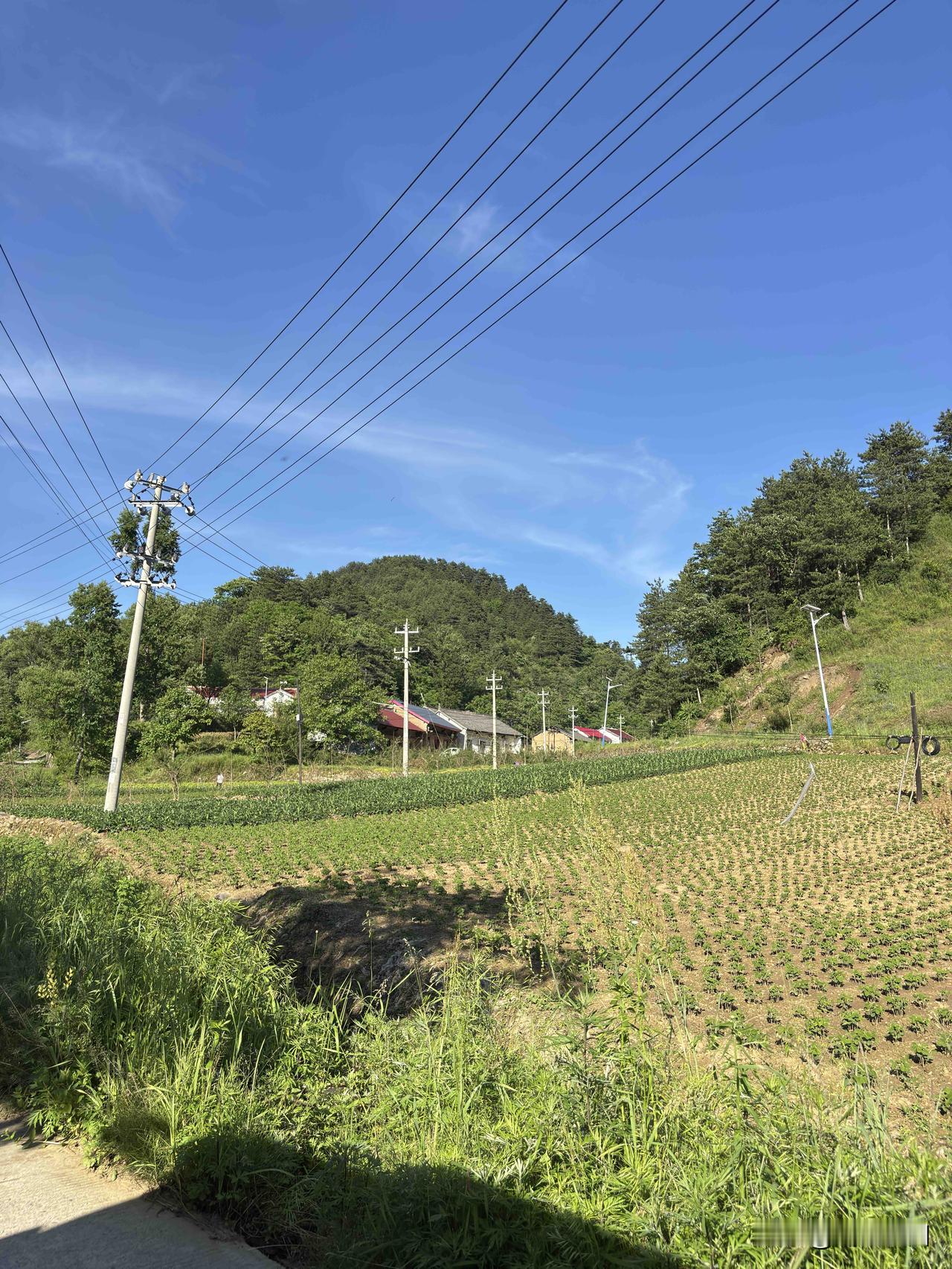 商州南泥湖村随拍，这里山大沟深，确实很偏僻，地图上显示南泥湖可以到灞源，过董家沟