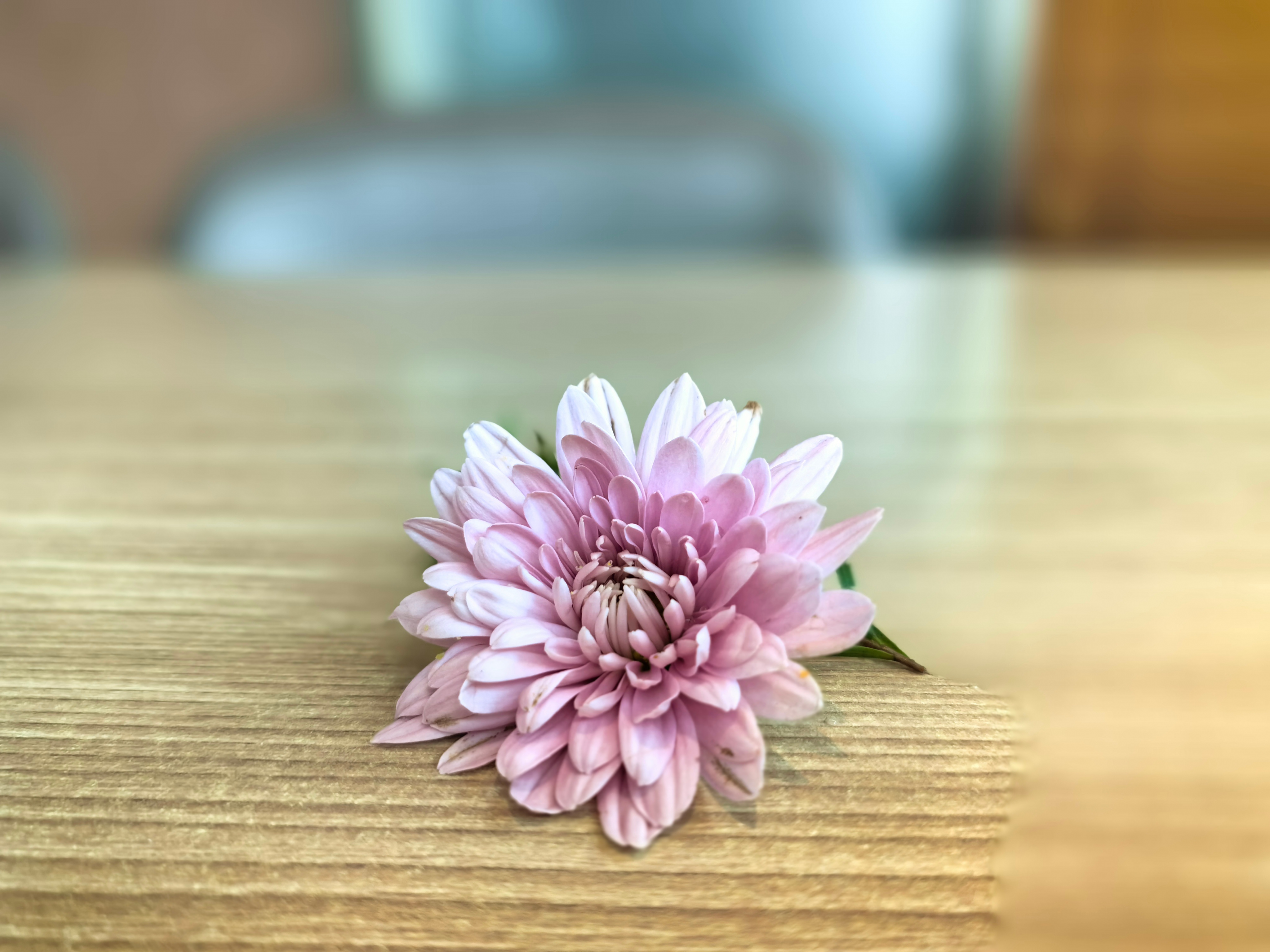 闲话投资1171孙子曰：兵无常势，水无常形，能因敌变化而取胜者，谓之神。个人随笔