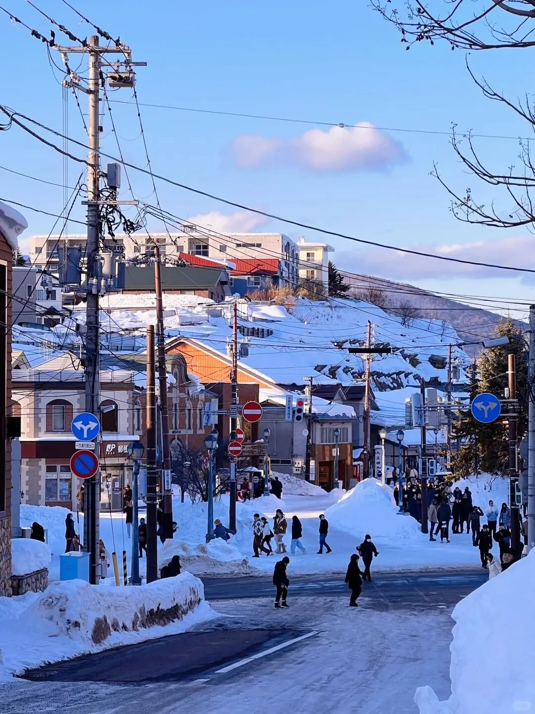 北海道旅游现状😭，建议大家做好攻略再去！