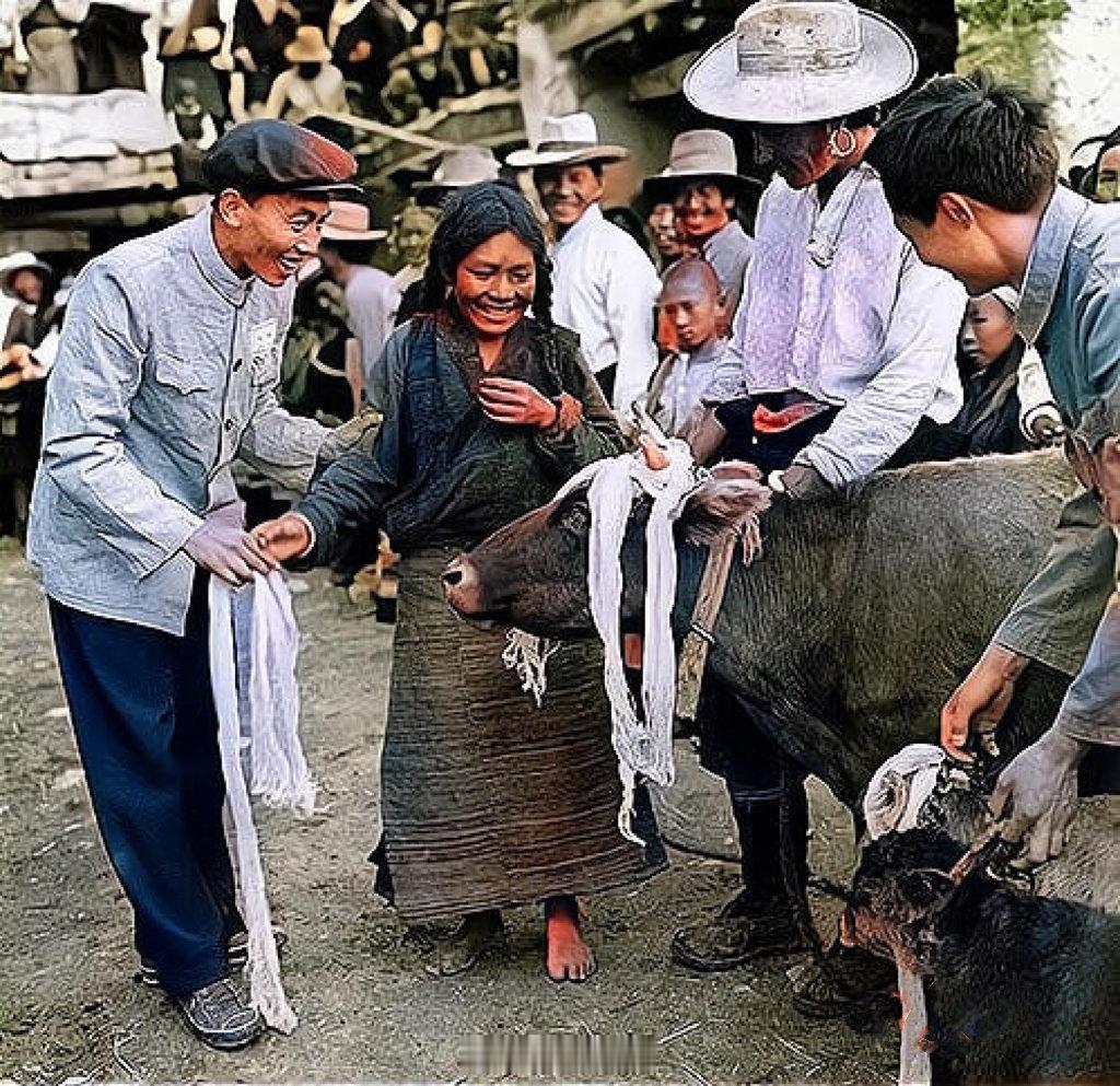 1959年，西藏堆龙德庆县南岗村，一位农奴姑娘分得了一头母牛和小牛崽，照片中可以