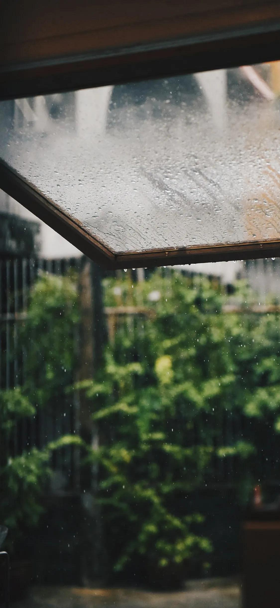 七律.晨雨之韵
文/袁森林（贵州）

夏雨淅淅天又凉，倚窗风动拂闲装。
竹摇玉泪
