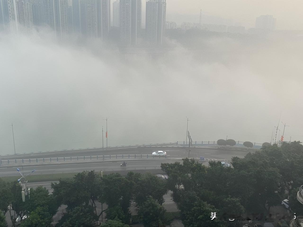 雾锁嘉陵江

三九天，艳阳天。

重庆冬天难得的阳光明媚，证明今冬必定是暖冬。