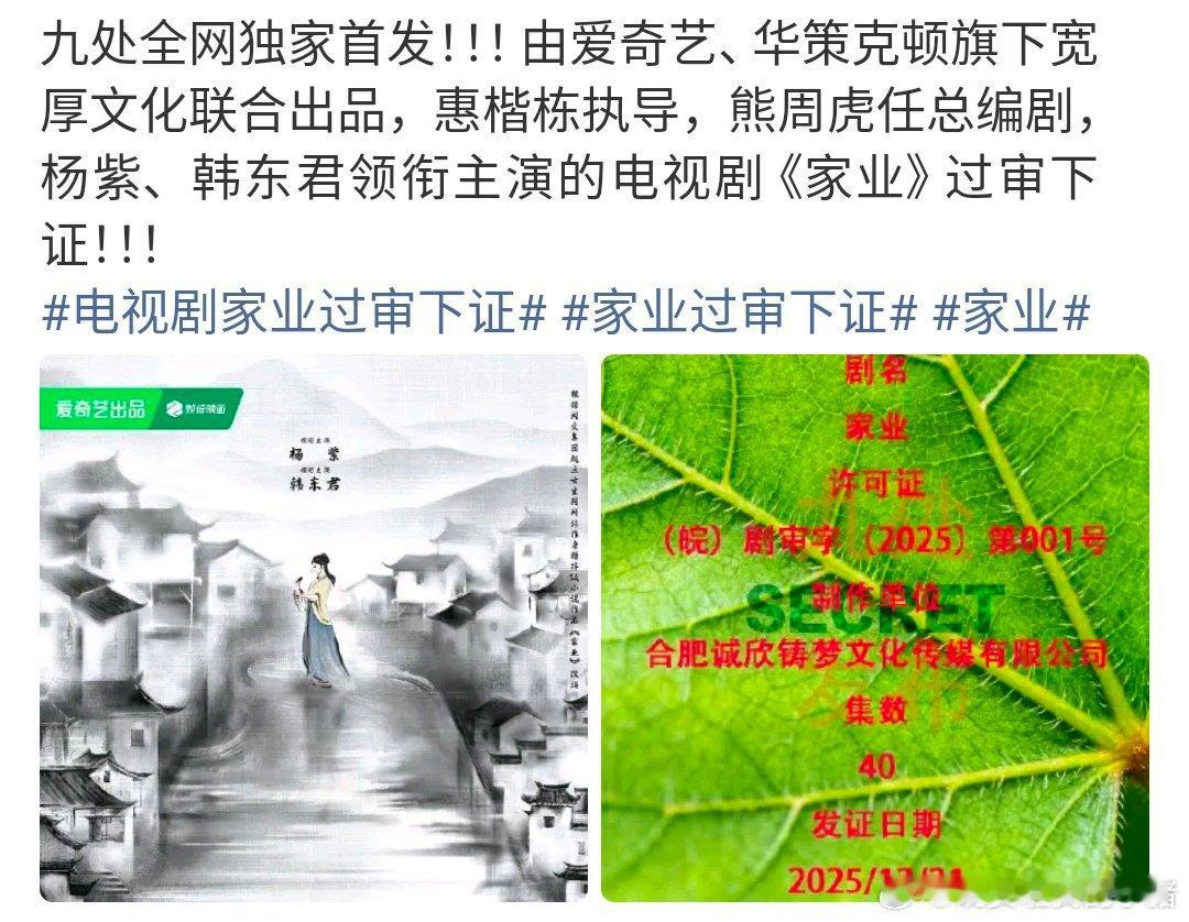 杨紫家业过审下证了