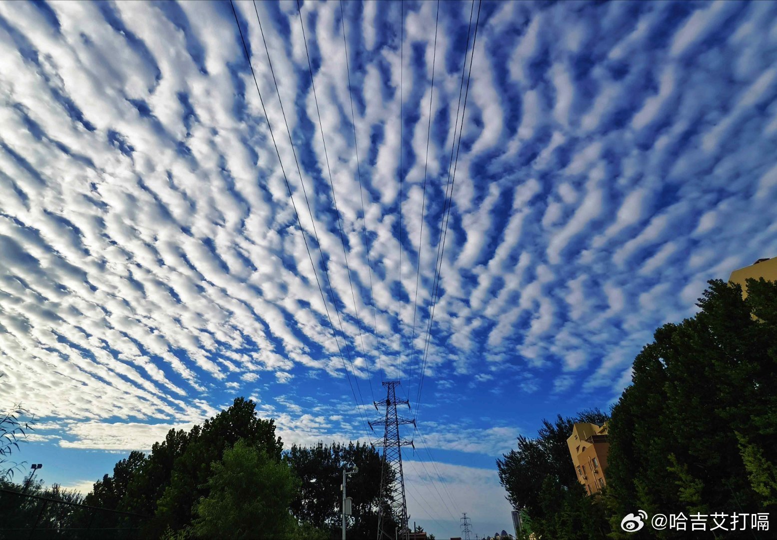 凤凰新闻7月14日，北京天空出现鱼鳞云。清晨的天空铺开大片絮状云浪，层层鳞纹错落