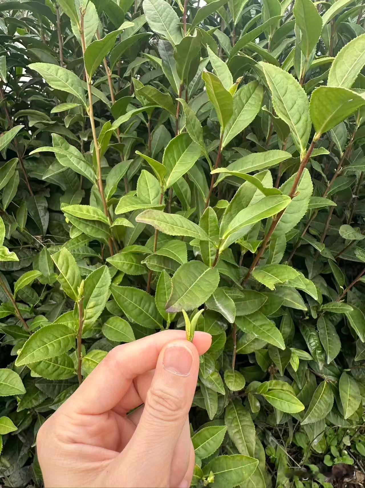 我最怕的不是收益掉到几块钱。

最怕的是某一天坐下来，打开空白页，脑子里啥也没有