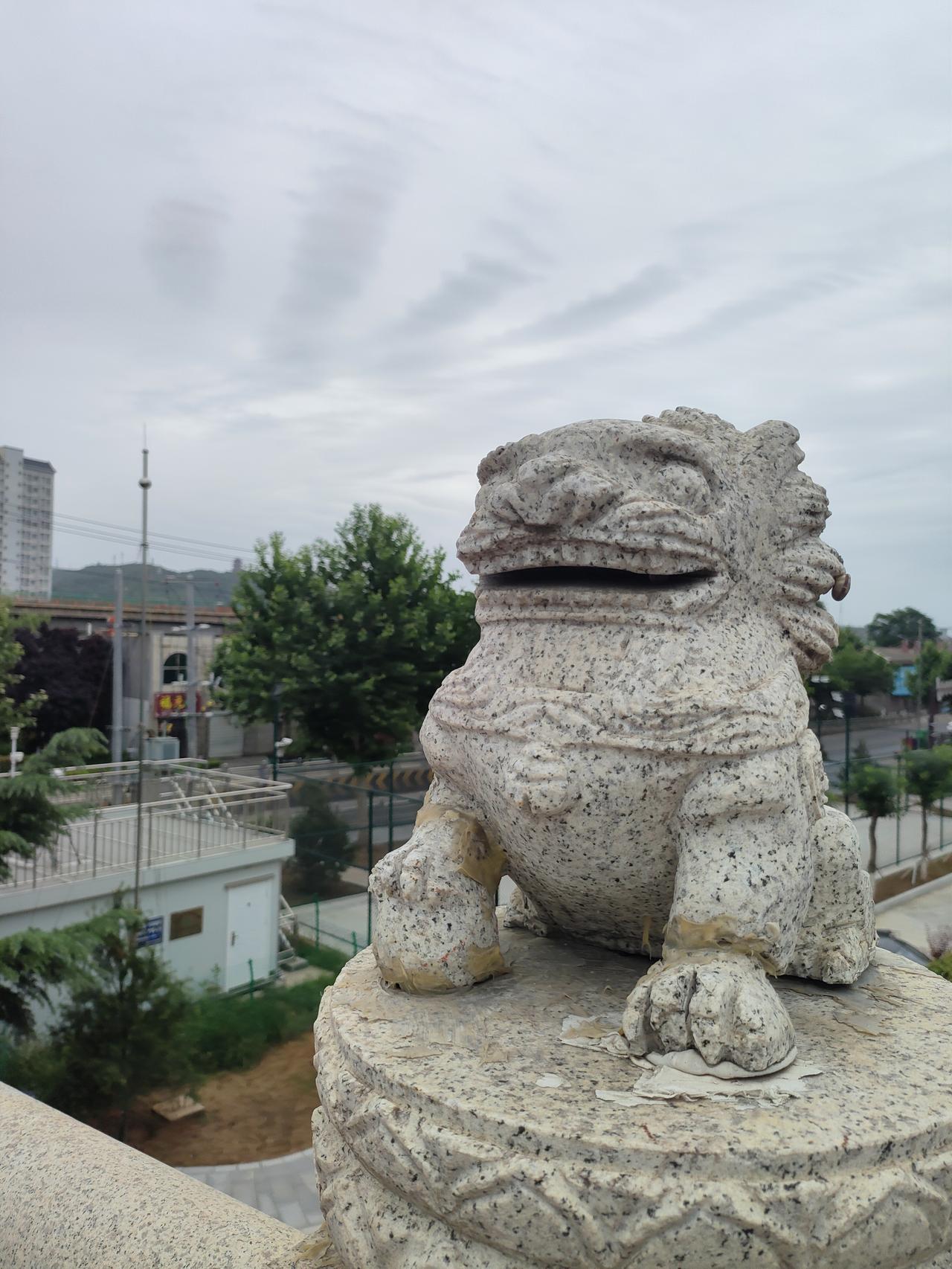 晒图笔记大赛石狮静踞栏头，历经风霜，守着一城烟火。远山楼宇衬着流云，古老石雕遇见