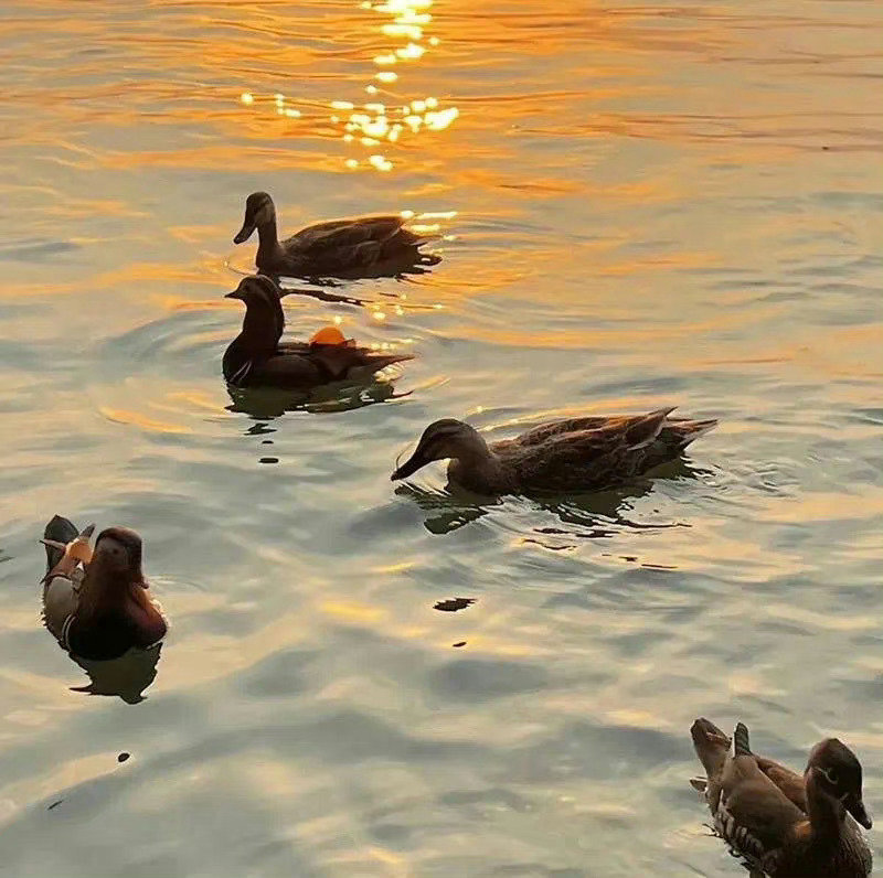 你的状态就是你最好的风水简单点 快乐点 好运就会多一点！ 